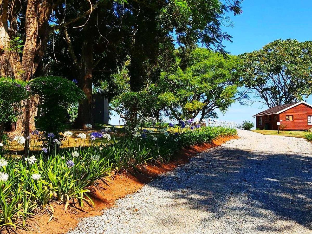 Forest View Cabins Tzaneen Zewnętrze zdjęcie