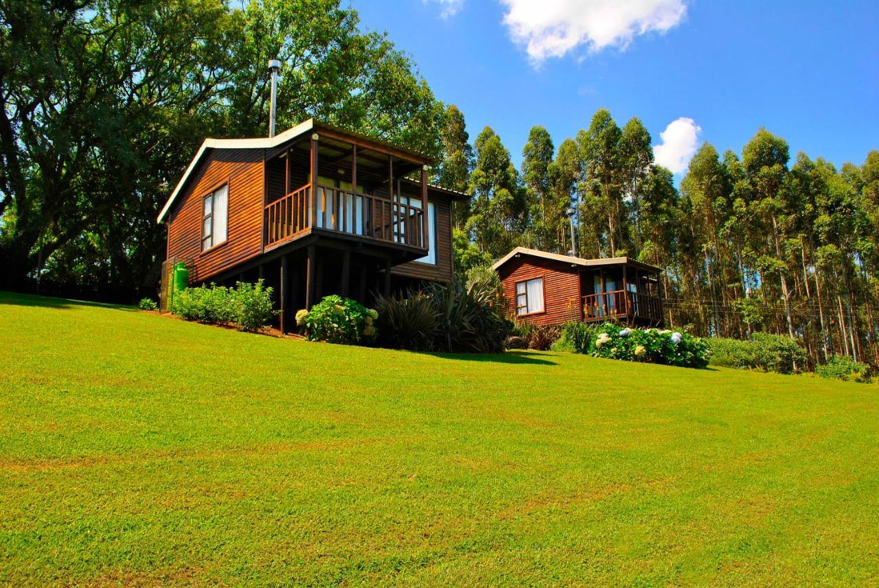 Forest View Cabins Tzaneen Zewnętrze zdjęcie